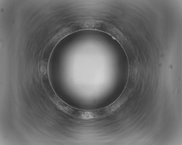 X0000085080091200703051444