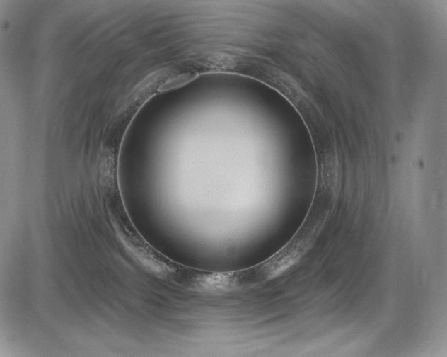 X0000085080092200703051445