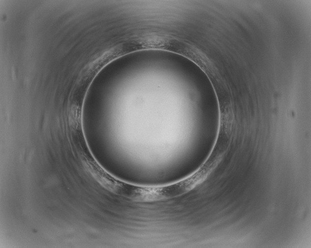 X0000085080093200703051445