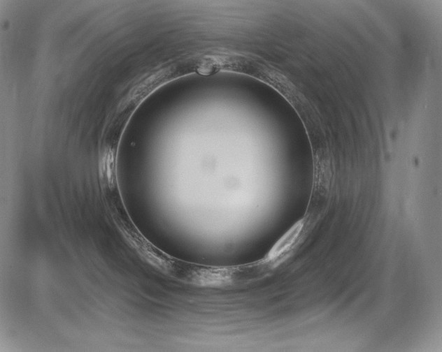 X0000085080094200703051445