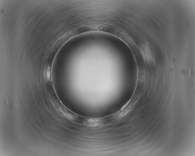 X0000085080095200703051445