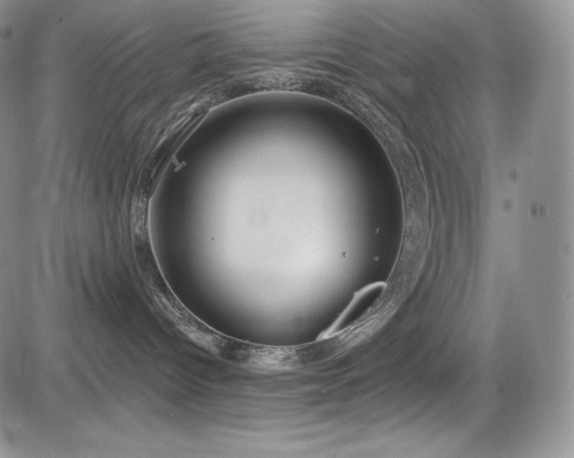 X0000085080096200703051445