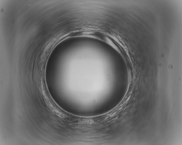 X0000085080097200703051444