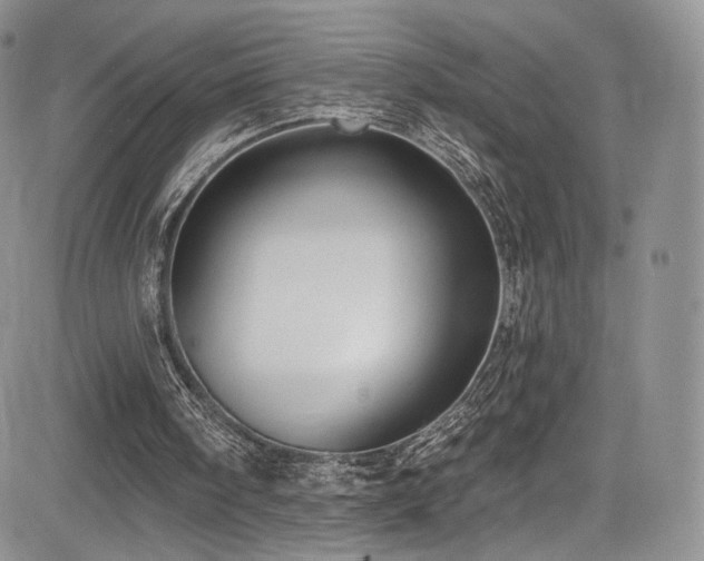 X0000085080098200703051444