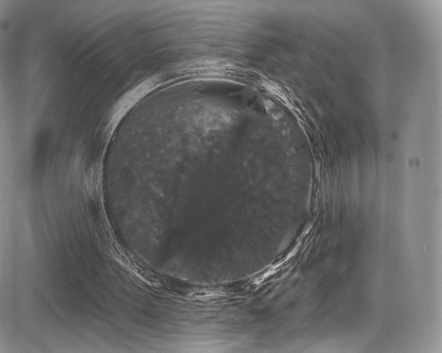 X0000085080099200703051444