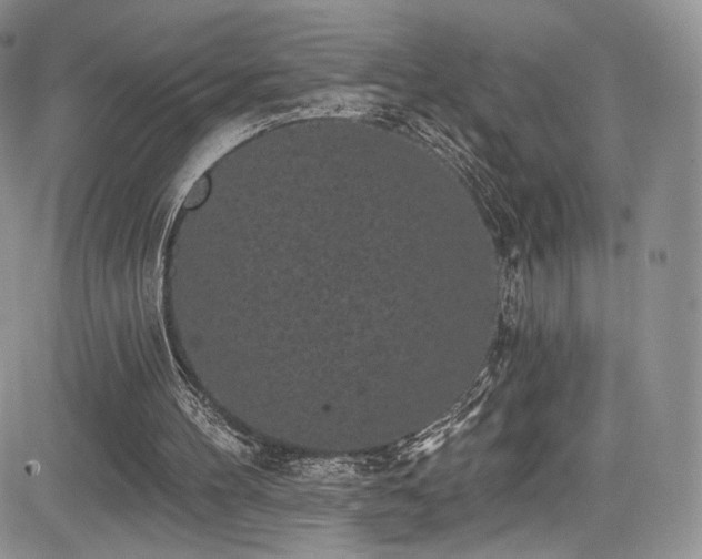 X0000085080100200703051444