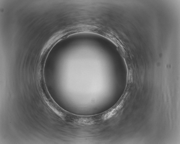 X0000085080101200703051444