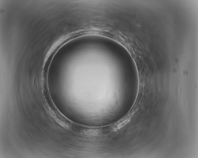 X0000085080102200703051444