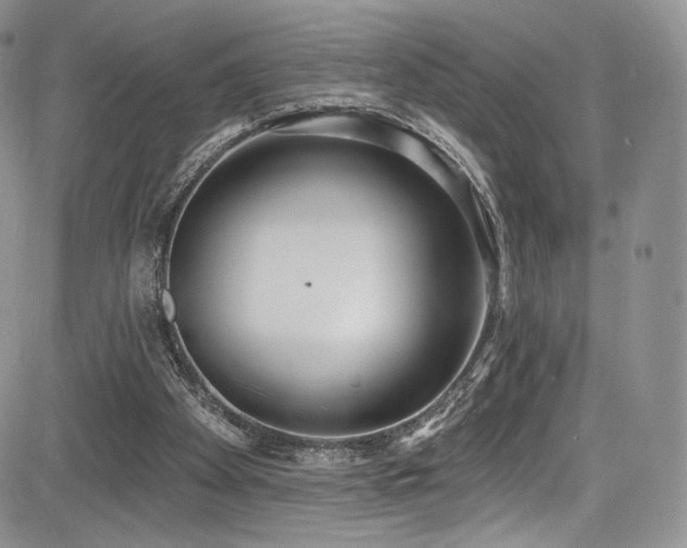 X0000085080105200703051444