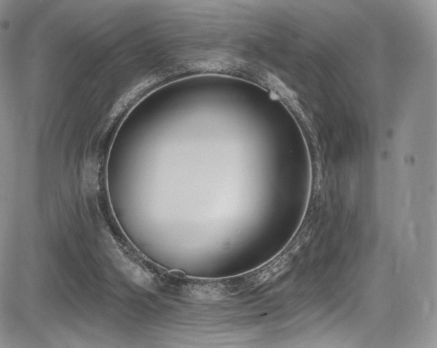 X0000085080106200703051444