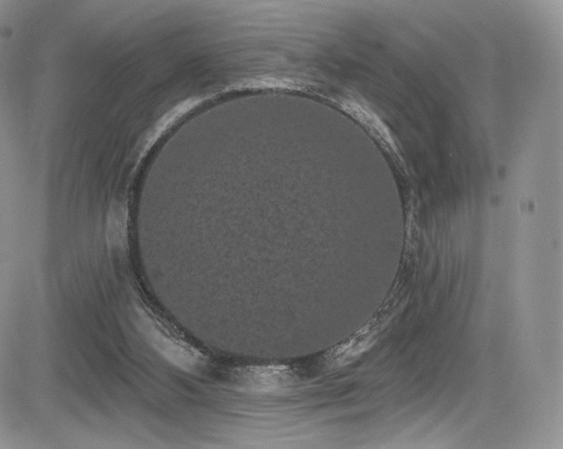 X0000085080108200703051444