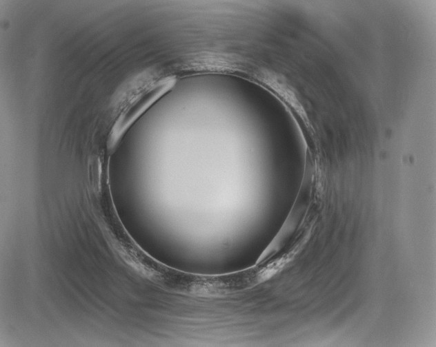 X0000085080109200703051444