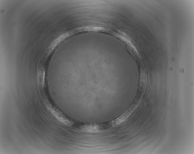 X0000085080110200703051444