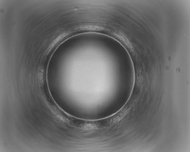 X0000085080111200703051444