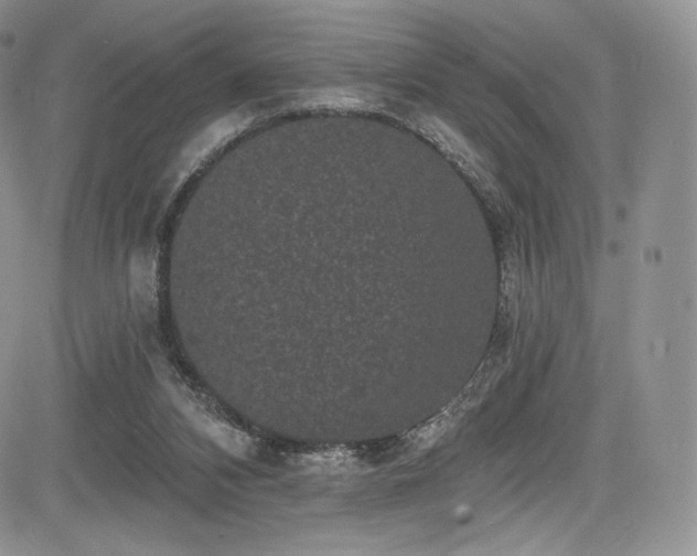 X0000085080112200703051444