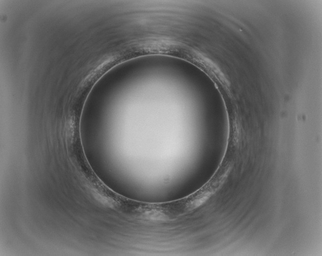 X0000085080113200703051443