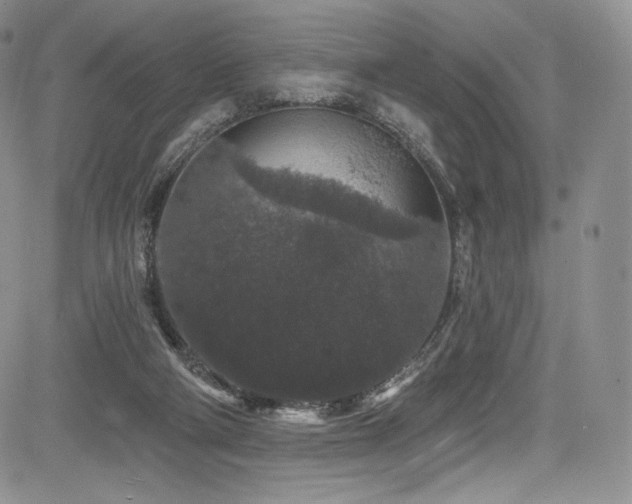 X0000085080114200703051443