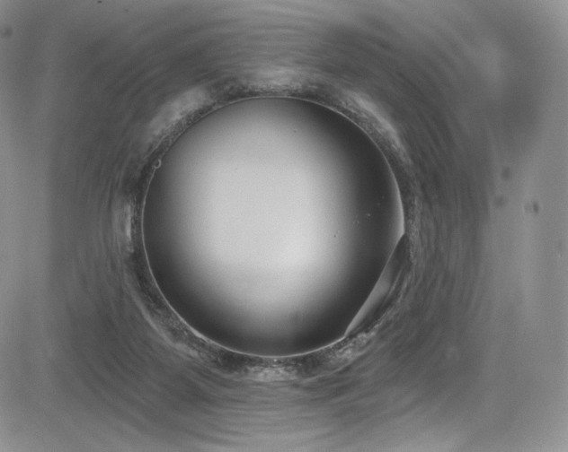 X0000085080115200703051443