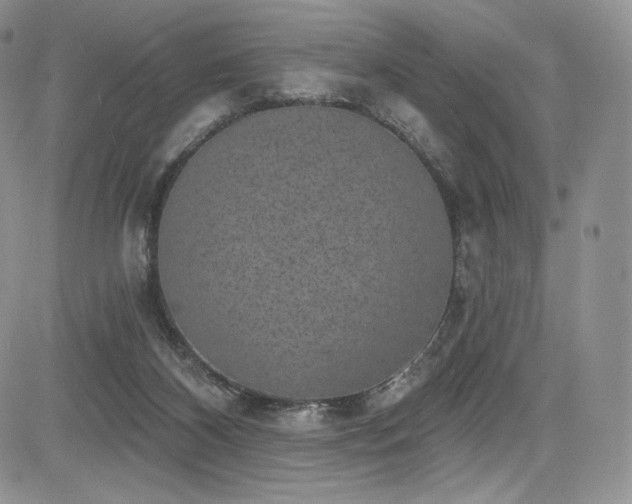 X0000085080116200703051443