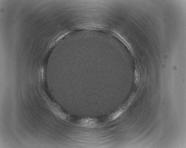 X0000085080117200703051443