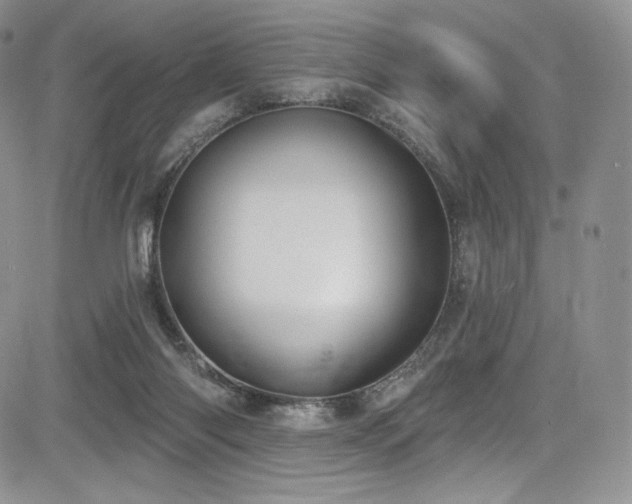 X0000085080118200703051443