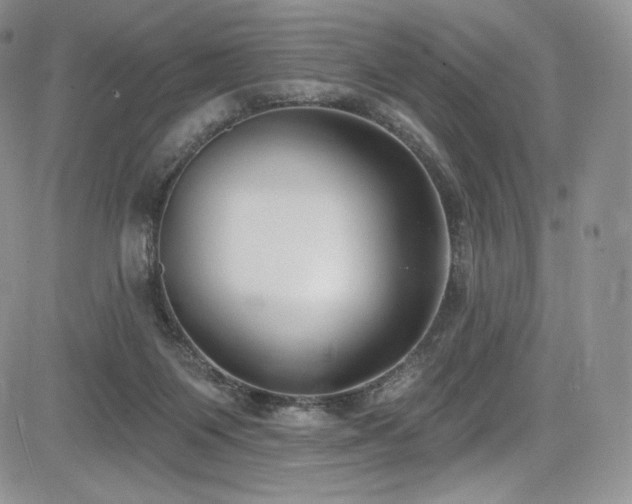 X0000085080119200703051443