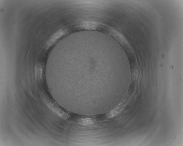 X0000085080120200703051443