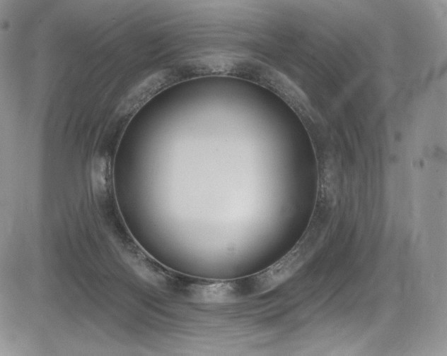 X0000085080122200703051443