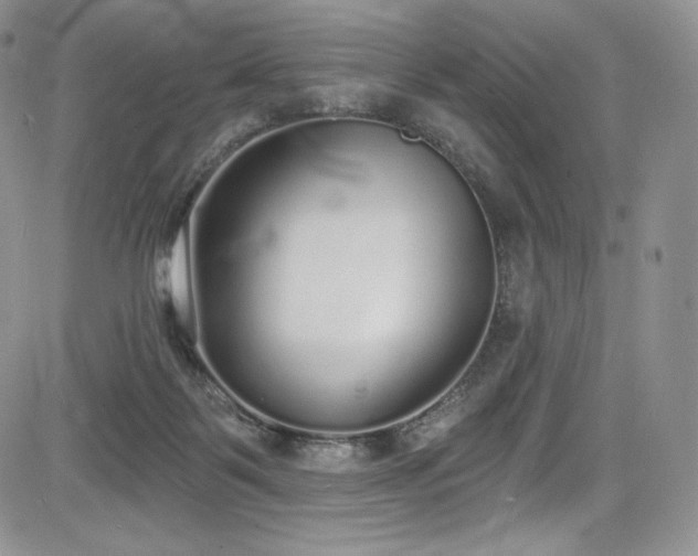 X0000085080123200703051443