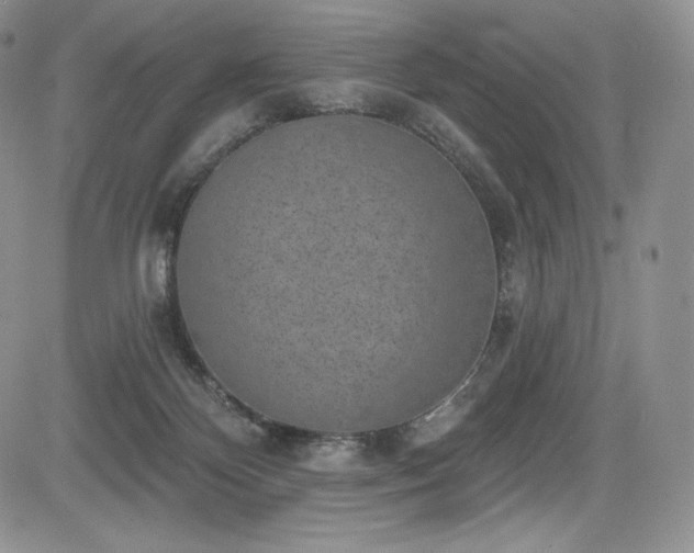 X0000085080124200703051443