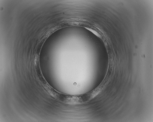 X0000085080125200703051443