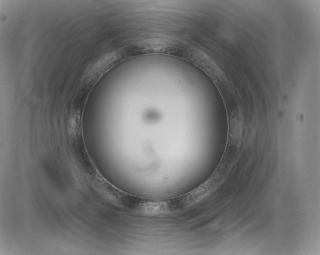 X0000085080126200703051443