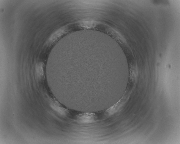 X0000085080128200703051443