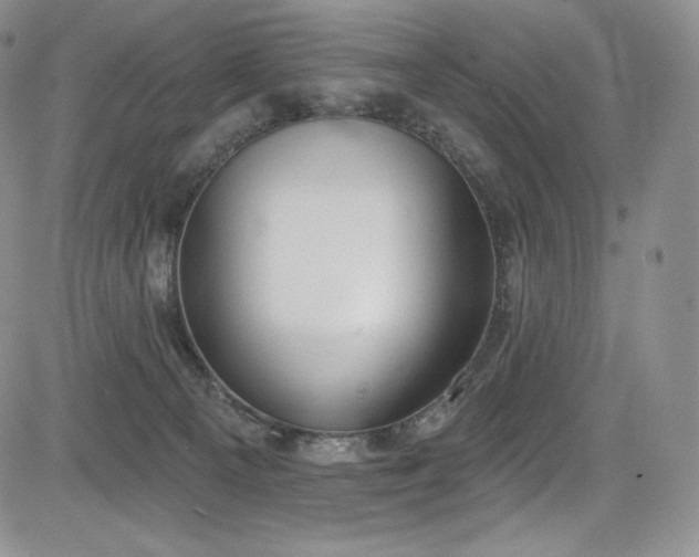 X0000085080129200703051443