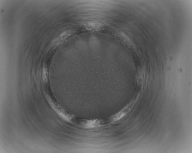 X0000085080130200703051443