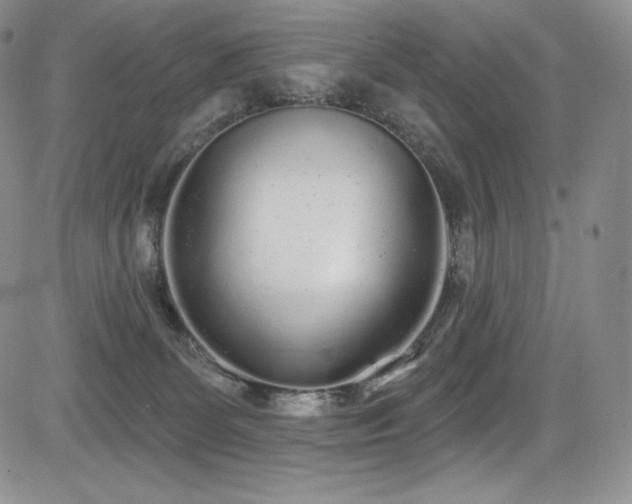 X0000085080131200703051443