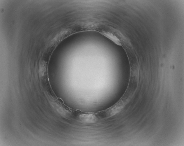 X0000085080133200703051443