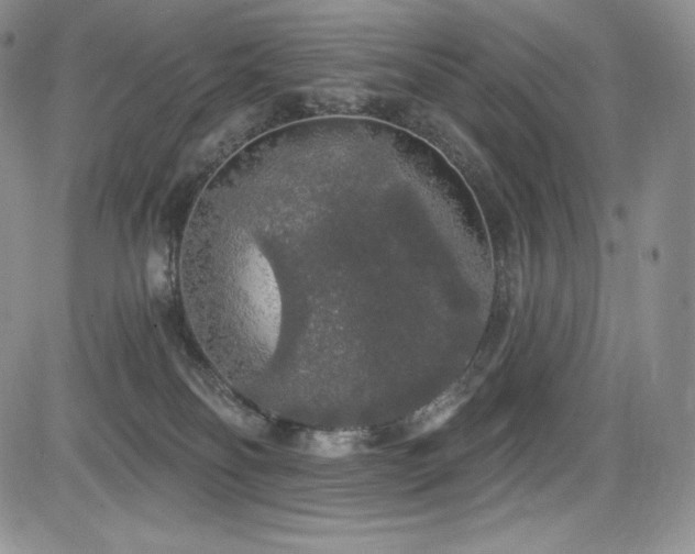 X0000085080134200703051443