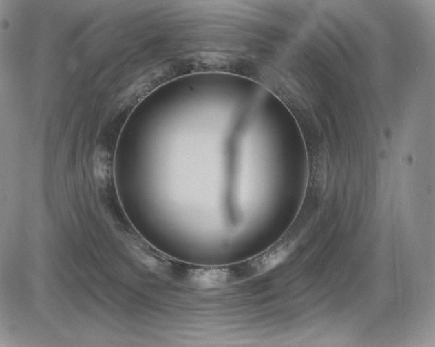 X0000085080135200703051443