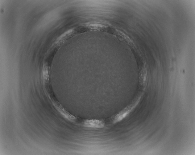 X0000085080137200703051443