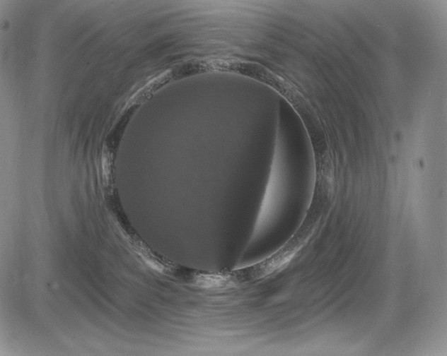 X0000085080139200703051443