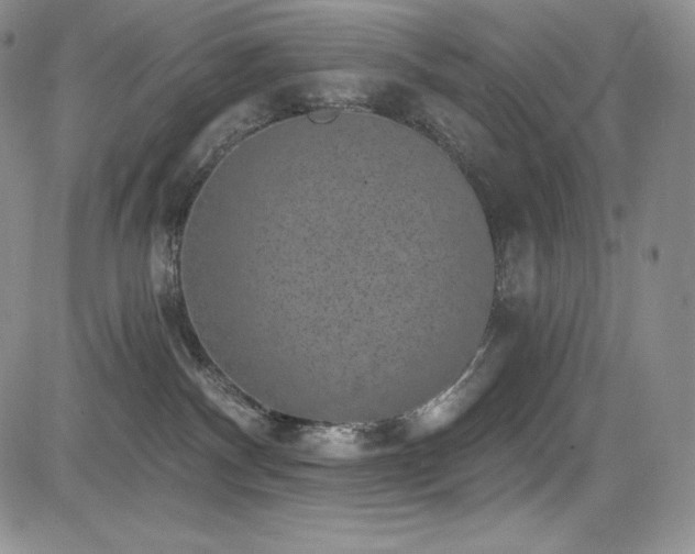 X0000085080140200703051443