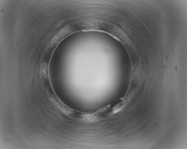 X0000085080141200703051443