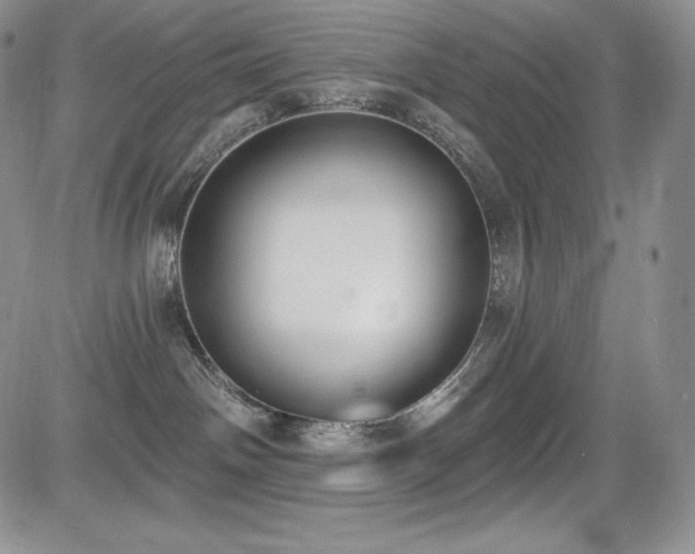 X0000085080142200703051443