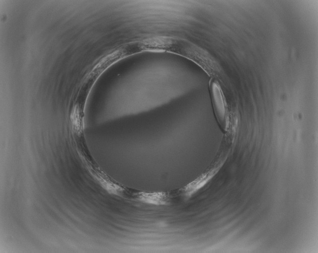 X0000085080143200703051443