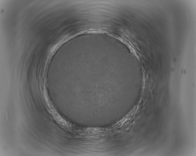 X0000085080145200703051442