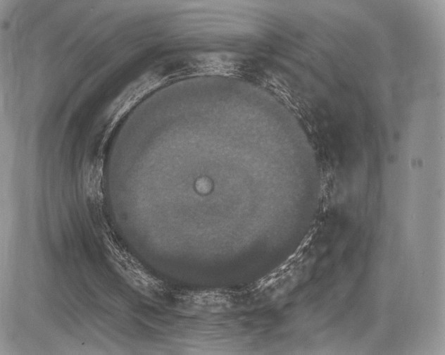 X0000085080146200703051442