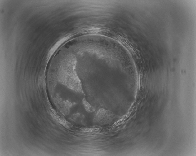 X0000085080147200703051442