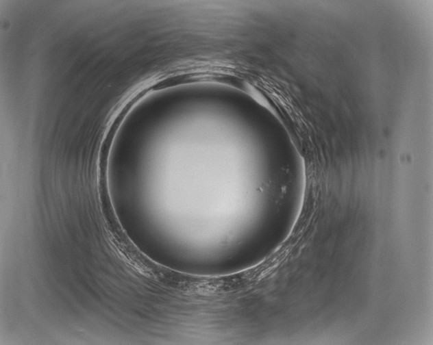 X0000085080148200703051442