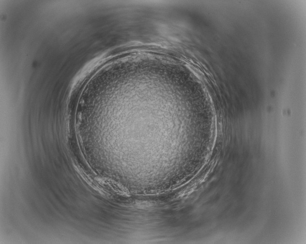 X0000085080149200703051442